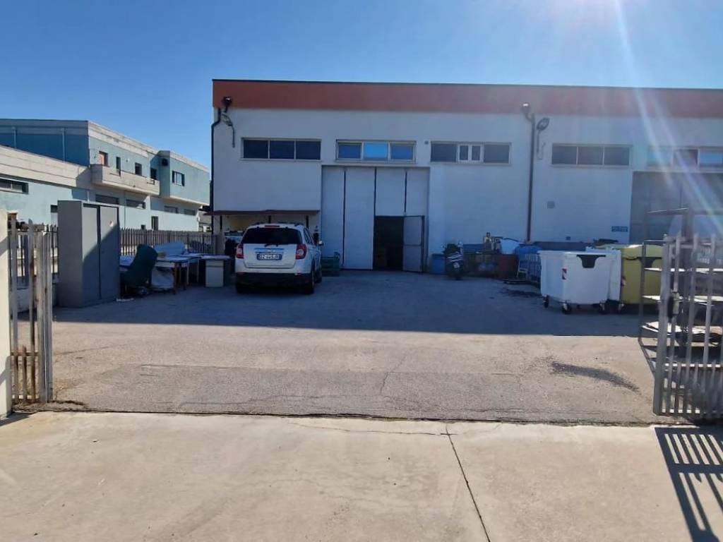 immagine annuncio 2 di 5