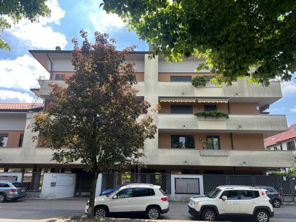 immagine annuncio 2 di 5