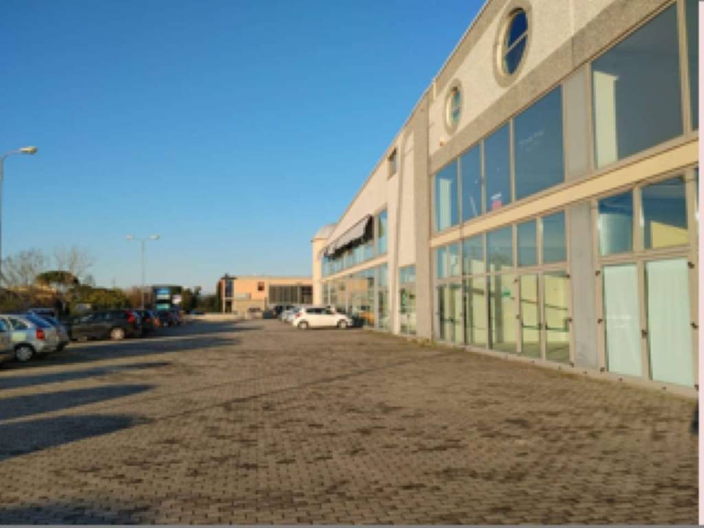 immagine annuncio 1 di 4
