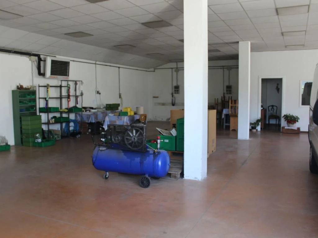 immagine annuncio 3 di 5