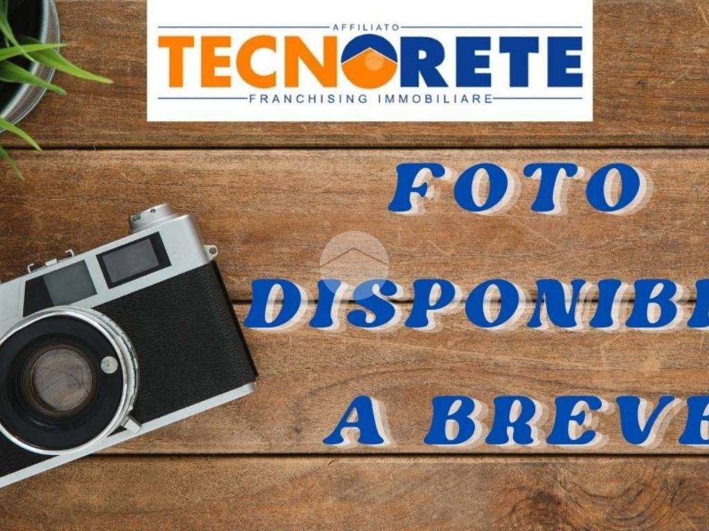 immagine annuncio 1 di 2