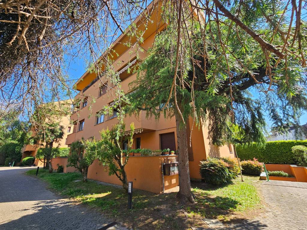 immagine annuncio 2 di 5