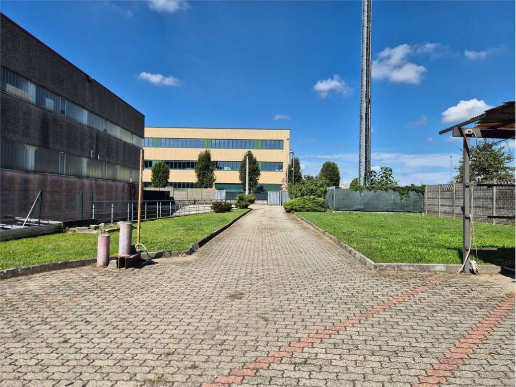 immagine annuncio 2 di 5