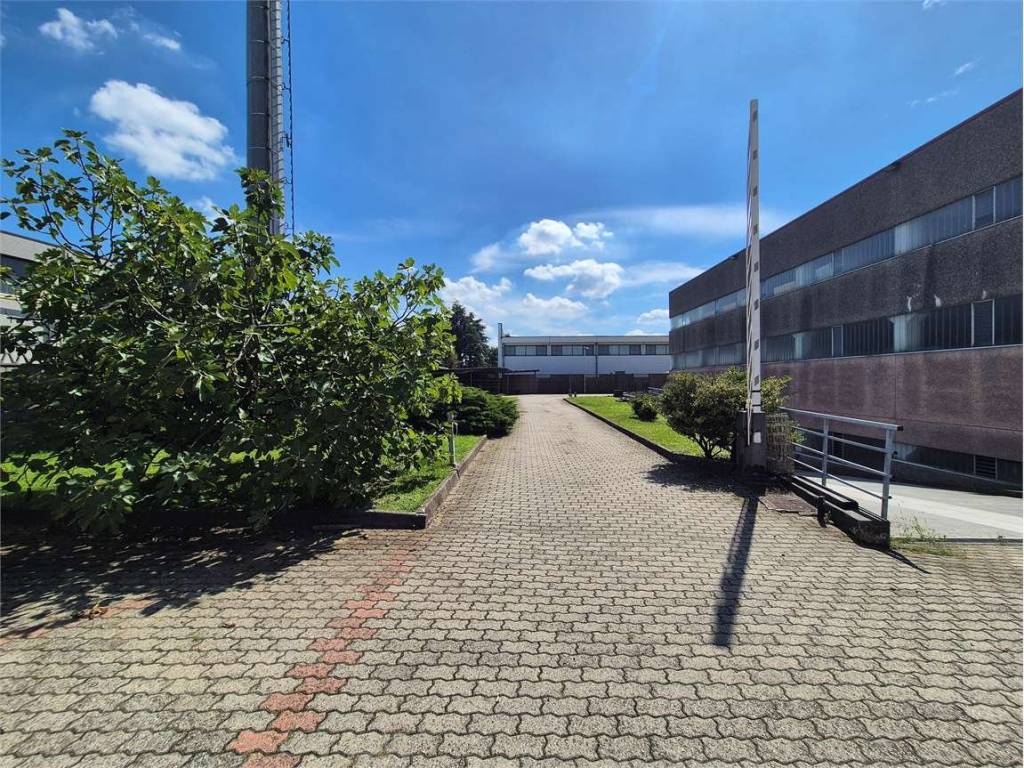 immagine annuncio 3 di 5