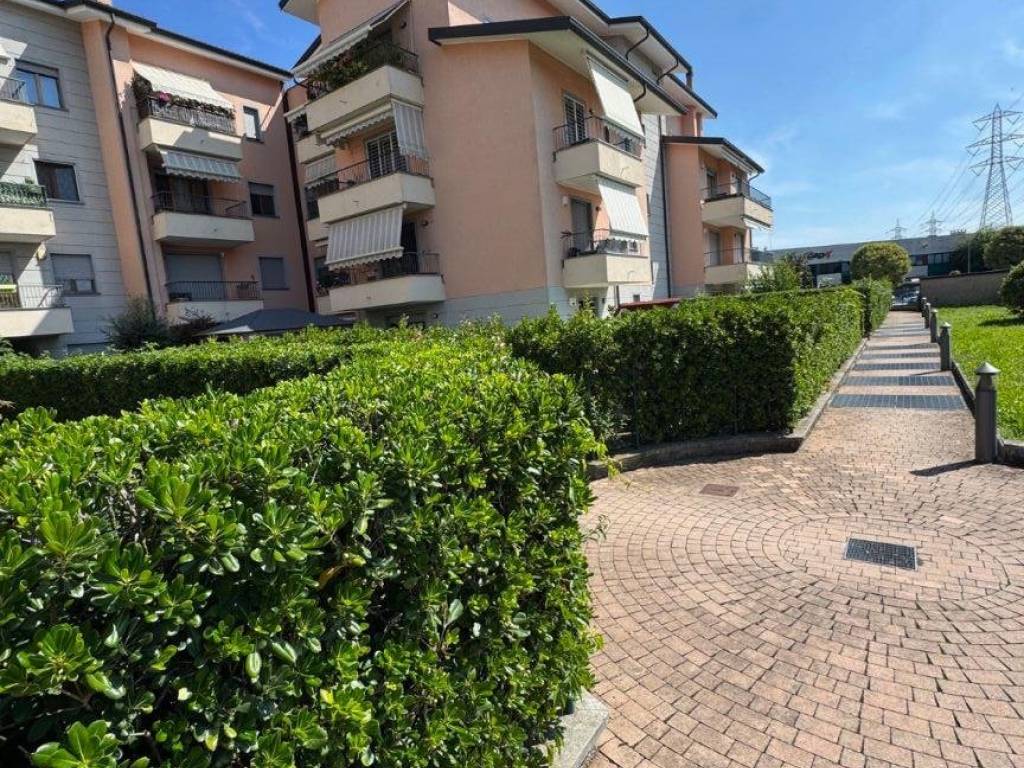 immagine annuncio 1 di 5