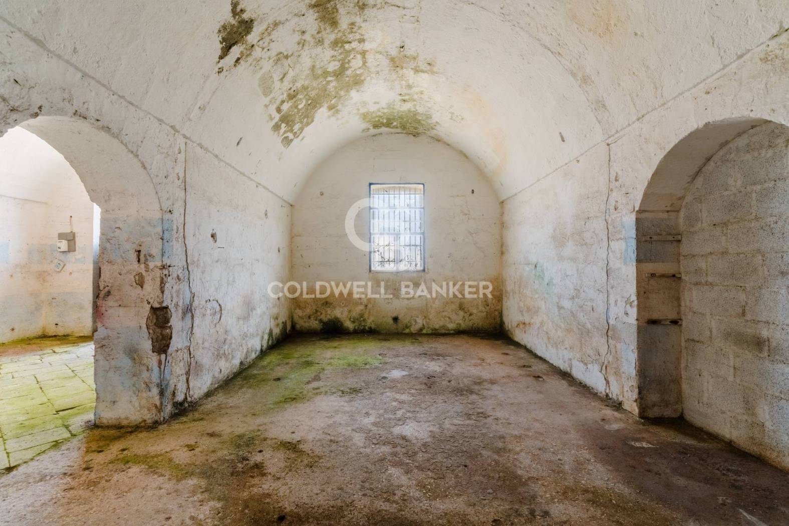 Masseria via Giovanni XXIII snc, Centro, Poggiardo - Photo 15