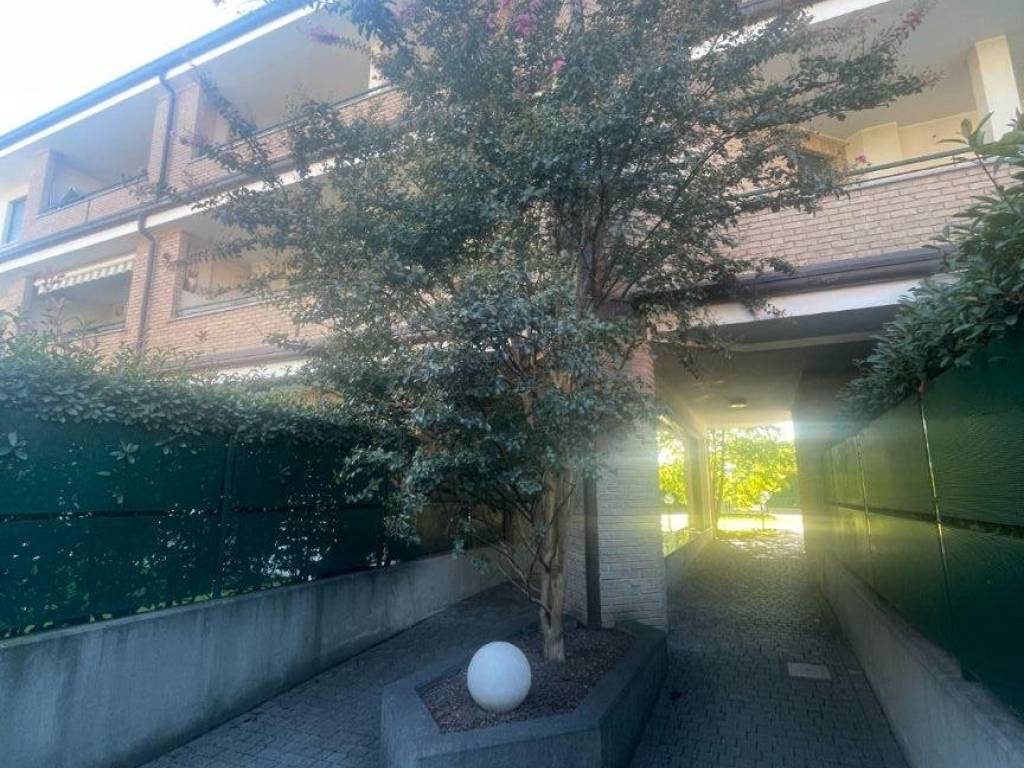 immagine annuncio 2 di 3