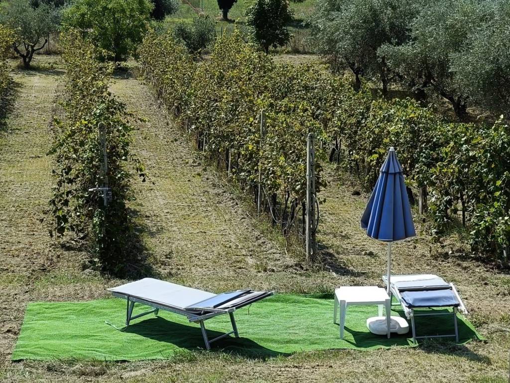 immagine annuncio 3 di 4