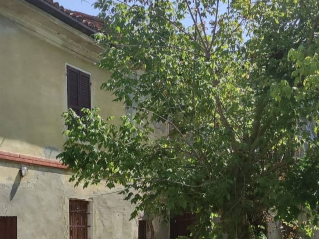 immagine annuncio 1 di 4
