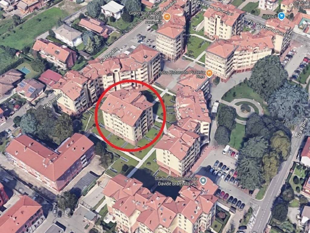 immagine annuncio 2 di 5