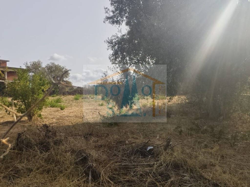 immagine annuncio 1 di 4