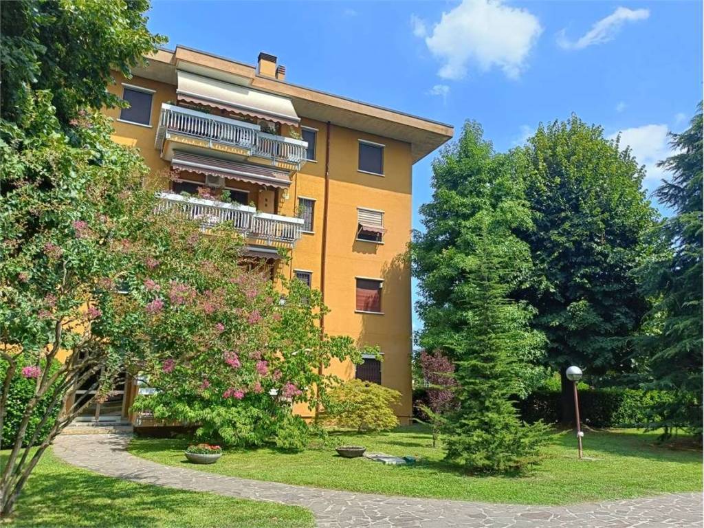 immagine annuncio 2 di 5