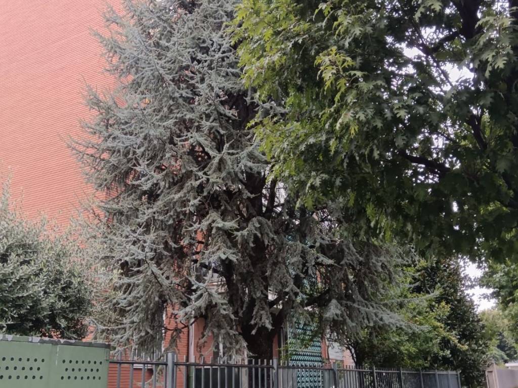 immagine annuncio 1 di 4
