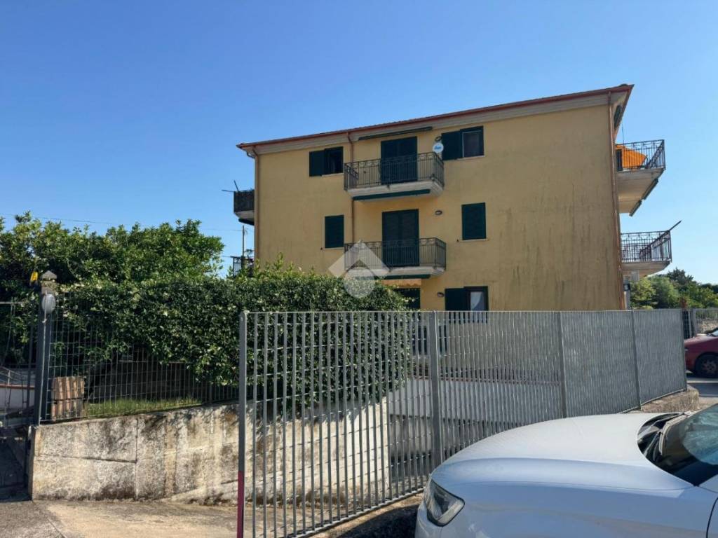 immagine annuncio 2 di 4