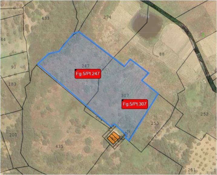 immagine annuncio 3 di 4