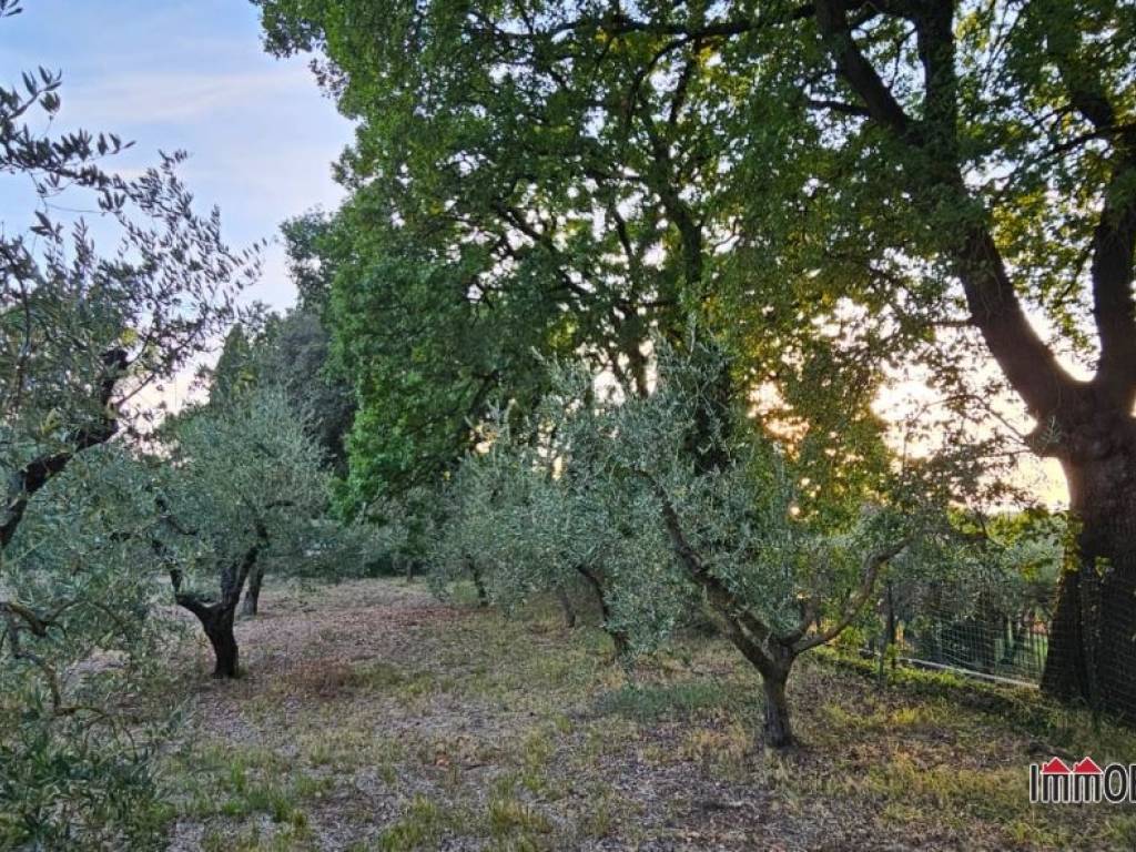 immagine annuncio 1 di 3