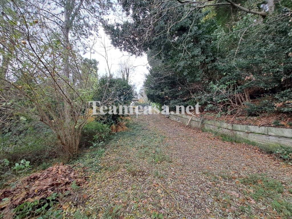 immagine annuncio 2 di 4