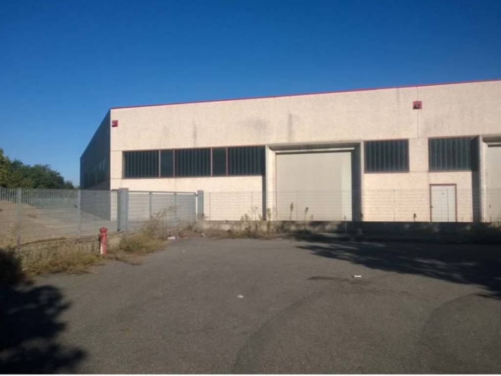 immagine annuncio 1 di 4