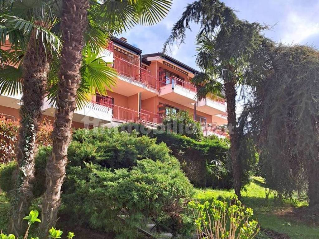 immagine annuncio 2 di 4