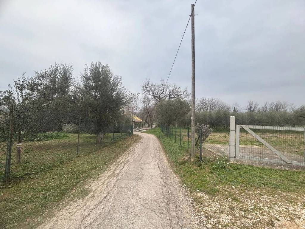 immagine annuncio 2 di 3