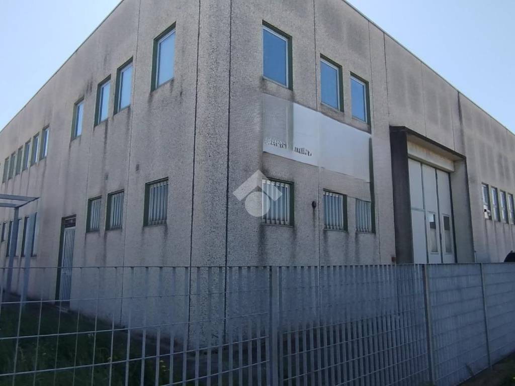 immagine annuncio 4 di 5
