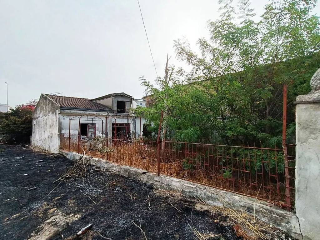 immagine annuncio 1 di 2