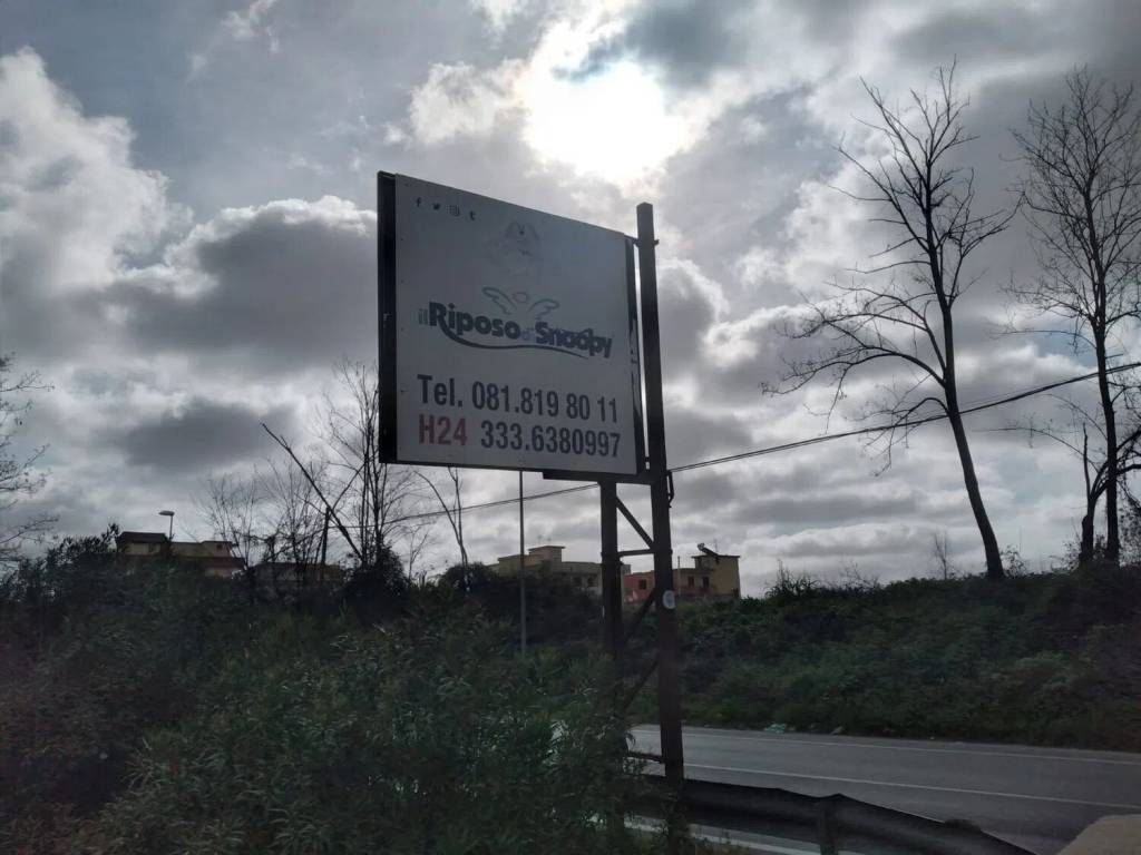 immagine annuncio 2 di 3