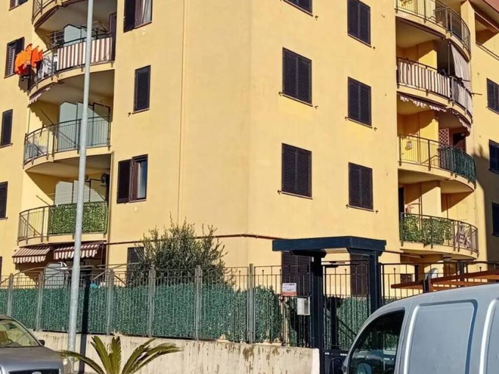 immagine annuncio 2 di 4