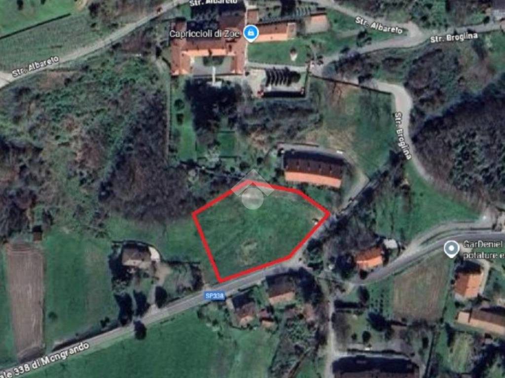 immagine annuncio 4 di 5