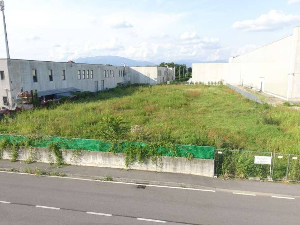 immagine annuncio 2 di 5