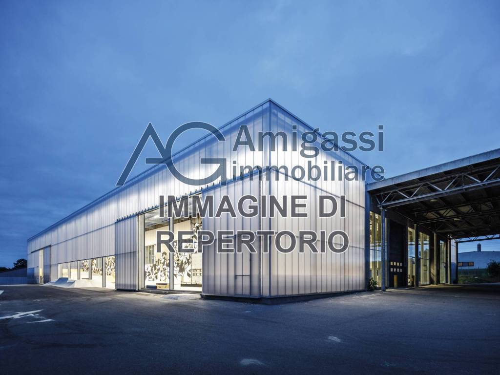 immagine annuncio 4 di 5