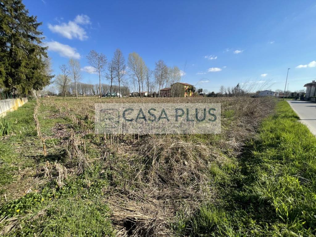 immagine annuncio 2 di 4