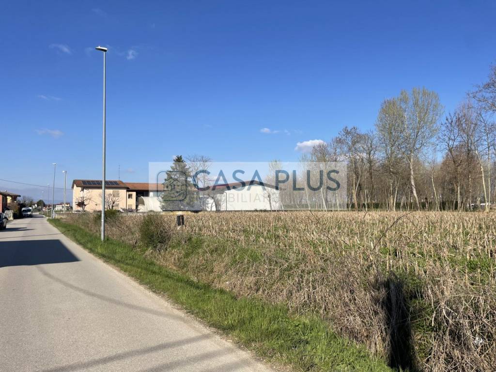 immagine annuncio 3 di 4