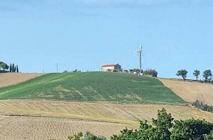 immagine annuncio 2 di 4