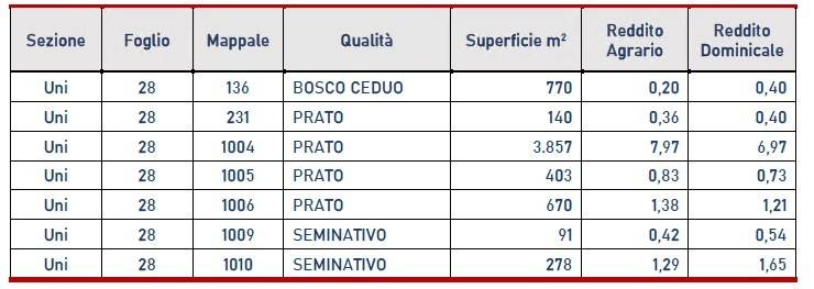 immagine annuncio 1 di 2