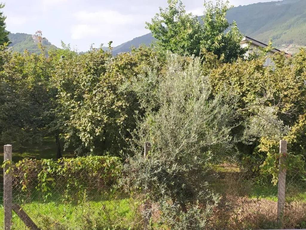 immagine annuncio 1 di 2