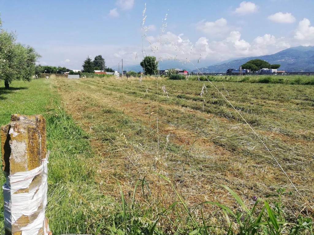 immagine annuncio 1 di 3