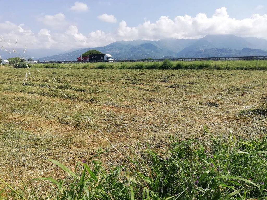 immagine annuncio 2 di 3