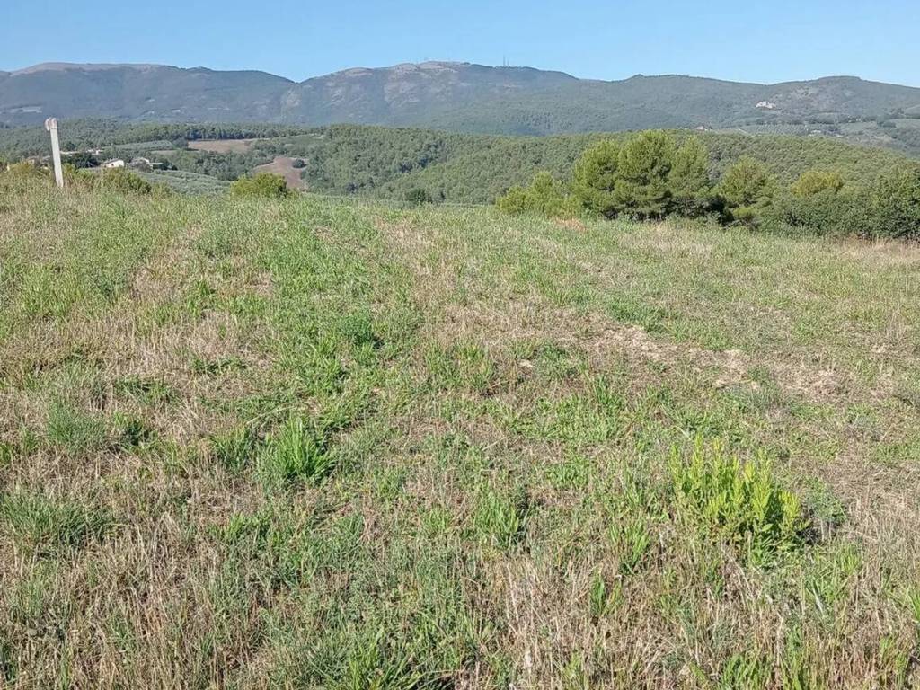 immagine annuncio 1 di 3