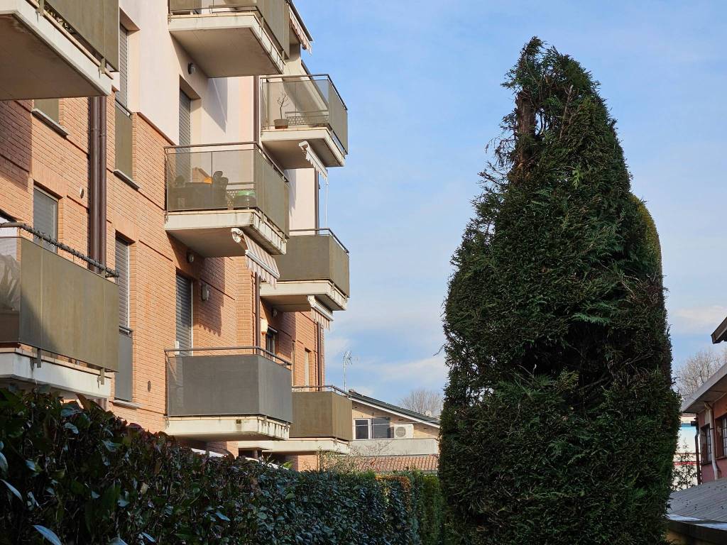 immagine annuncio 2 di 4