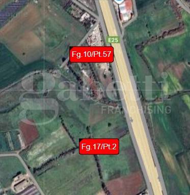 immagine annuncio 2 di 4