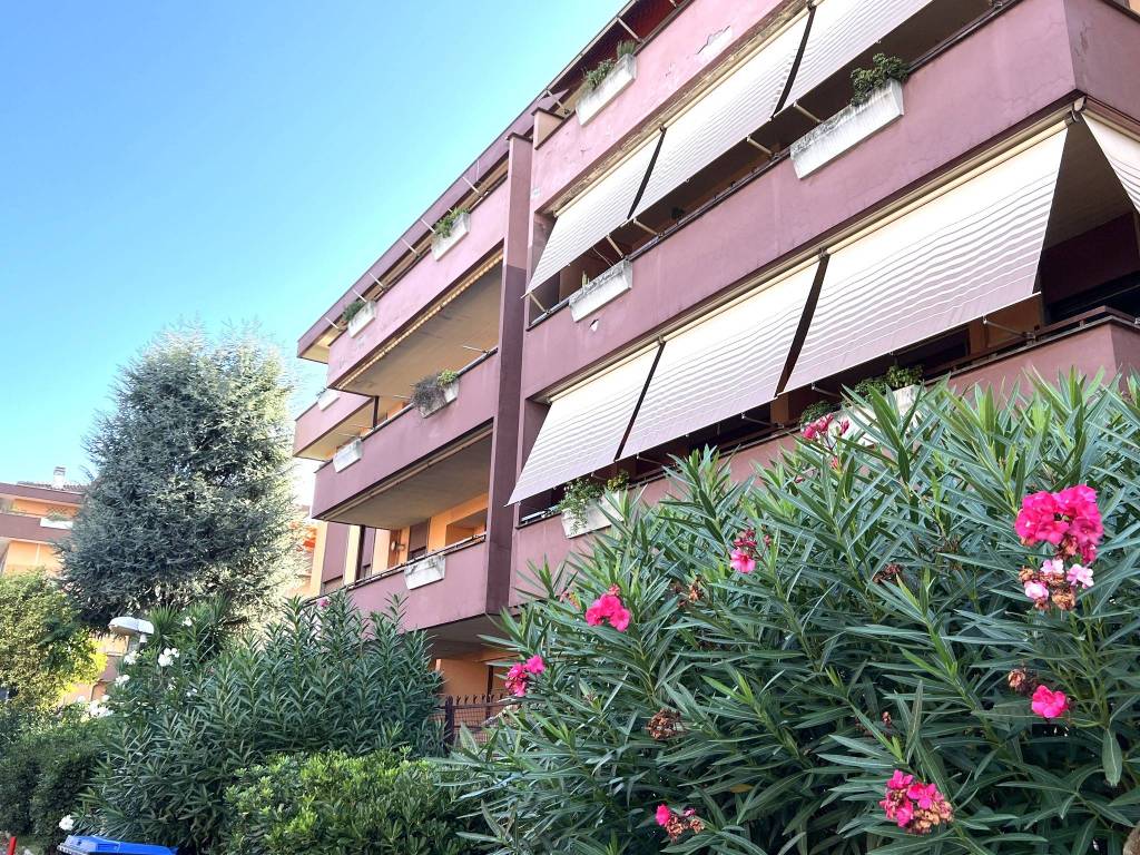 immagine annuncio 2 di 5