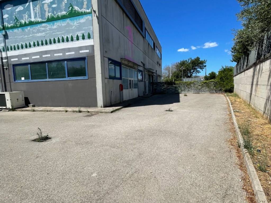 immagine annuncio 1 di 2