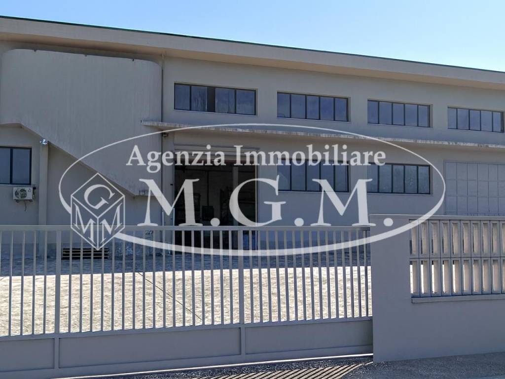 immagine annuncio 1 di 2