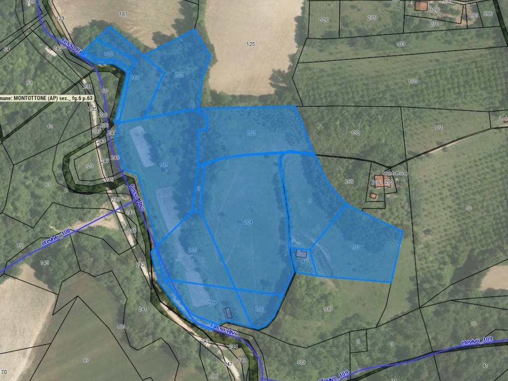 immagine annuncio 1 di 2