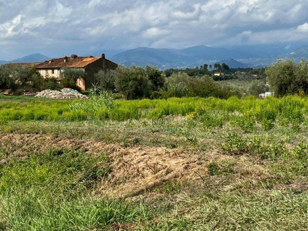 immagine annuncio 1 di 3