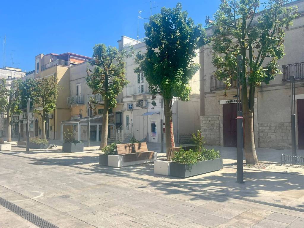 immagine annuncio 1 di 2