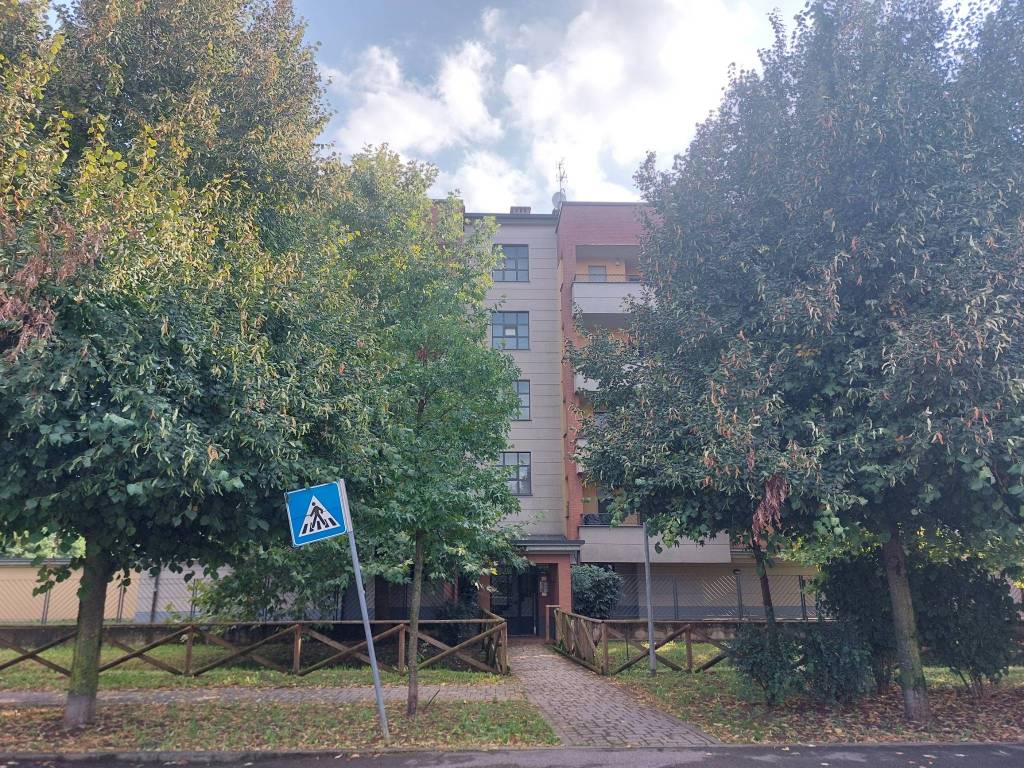 immagine annuncio 3 di 5
