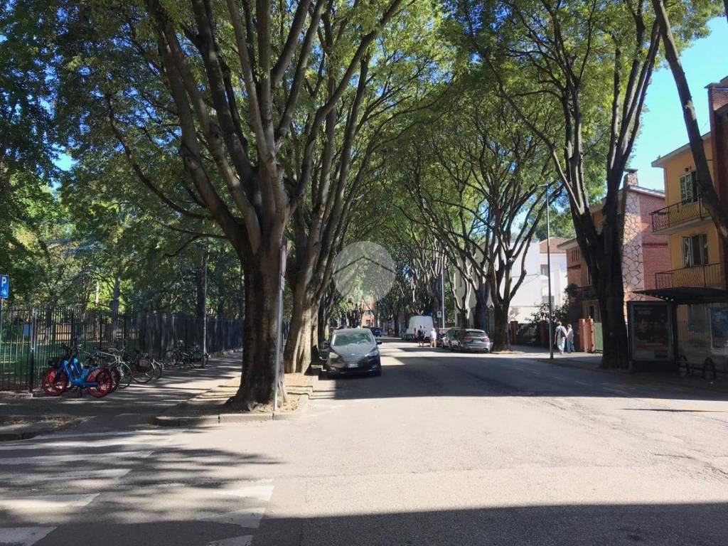 immagine annuncio 2 di 4