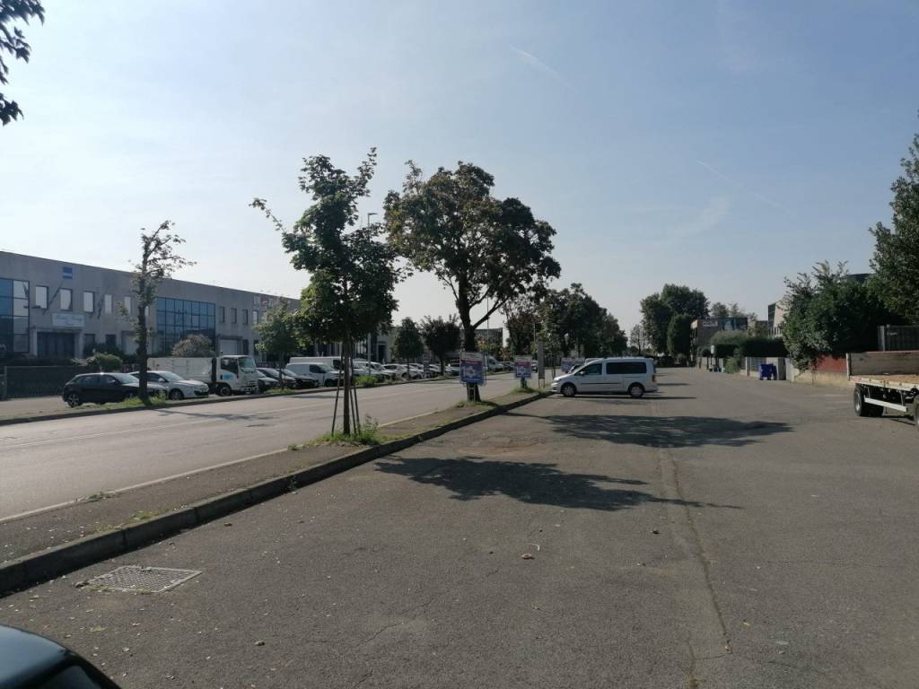 immagine annuncio 2 di 3